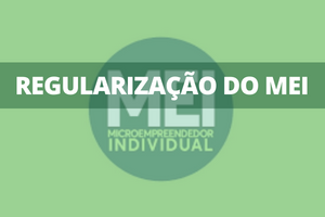 Regularização do MEI